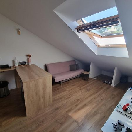 Geek Apartment オミシュ エクステリア 写真